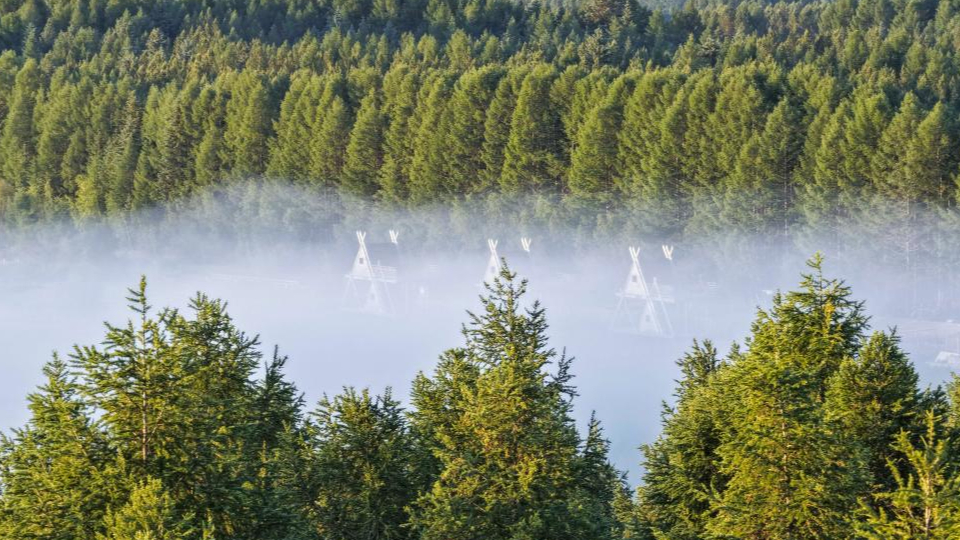 新華鮮報 | 春已至！“植”綠山河