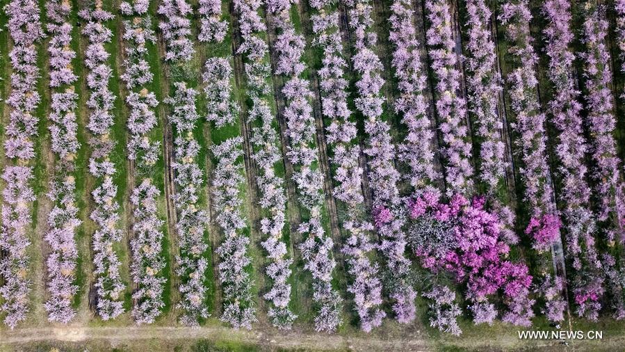 CHINA-HEFEI-DAILY LIFE (CN)