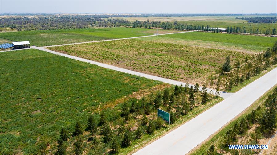 CHINA-INNER MONGOLIA-KUBUQI-DESERT CONTROL-TECHNOLOGY INNOVATION (CN)