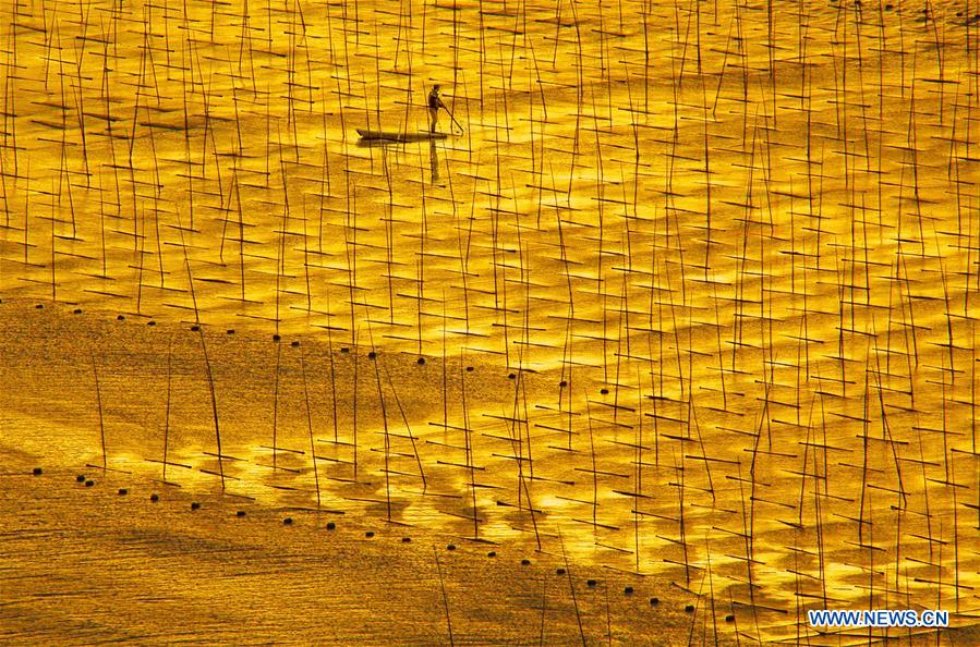 (年終報(bào)道)(12)2018年看大美中國(guó)