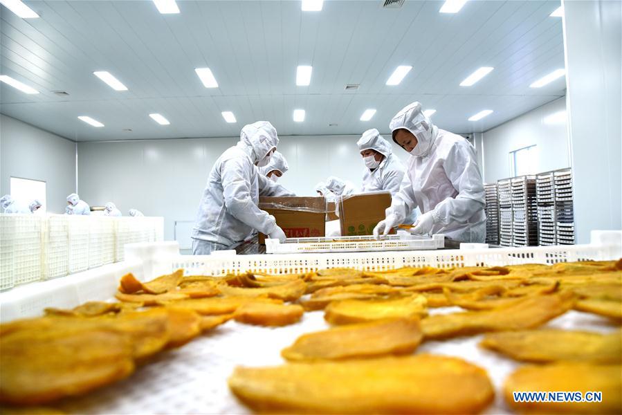 CHINA-ECONOMY-PERFORMANCE (CN)