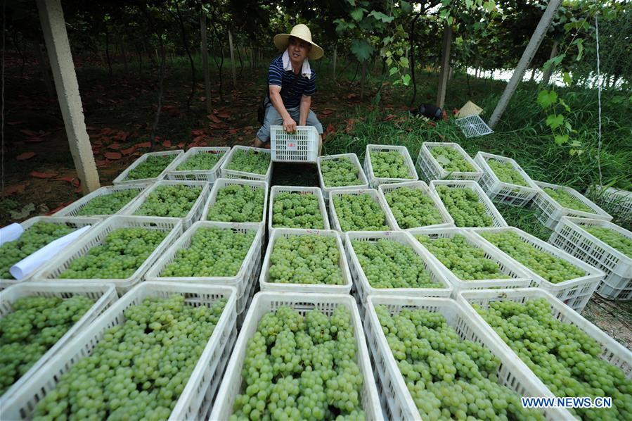 CHINA-POVERTY RELIEF-ACHIEVEMENTS (CN)