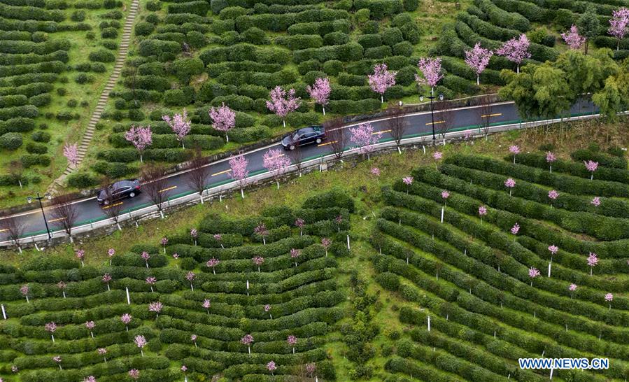 CHINA-SHAANXI-SPRING SCENERY (CN)