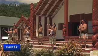 New Zealand&rsquo;s new visa policy aims to attract more Chinese tourists