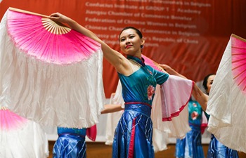 Overseas Chinese in Belgium celebrate 70th anniversary of PRC founding