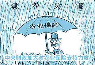 中央財(cái)政加大對(duì)農(nóng)業(yè)保險(xiǎn)支持力度