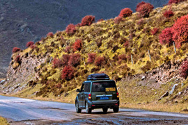 天微涼葉漸黃，最美風景是家鄉(xiāng)