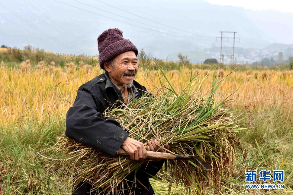 收獲了,農(nóng)民笑了