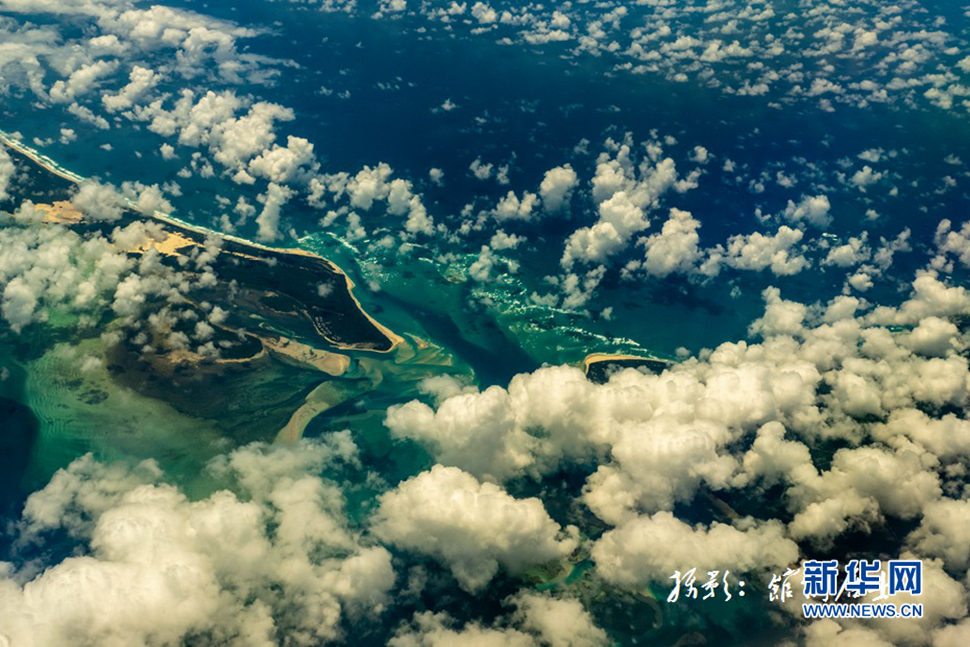 飛躍太平洋，跨越秋與春