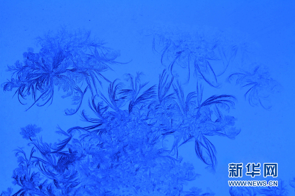 忽如一夜寒冬來，千家萬戶窗花開