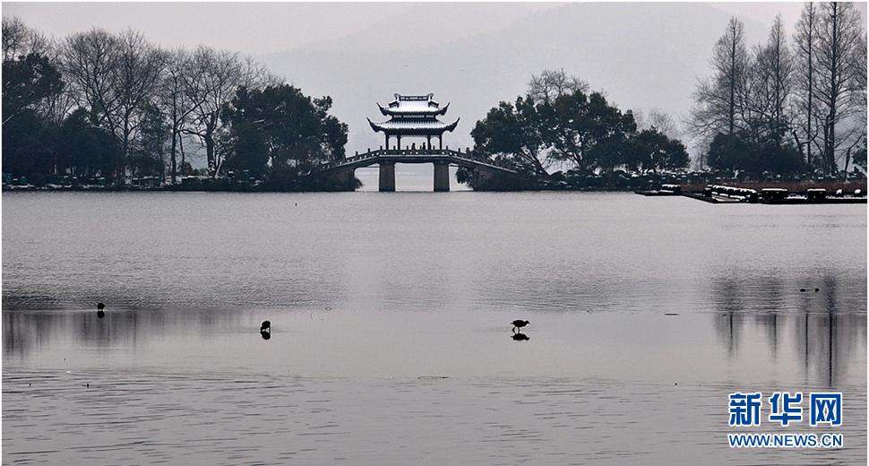 曲院風(fēng)荷之冬