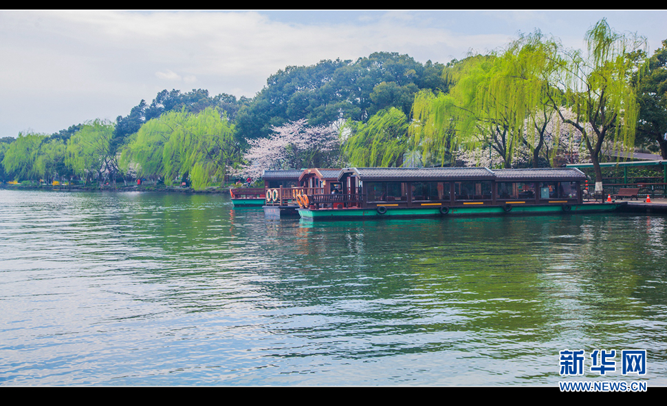 聽(tīng)風(fēng)西湖柳，聞香龍井茶