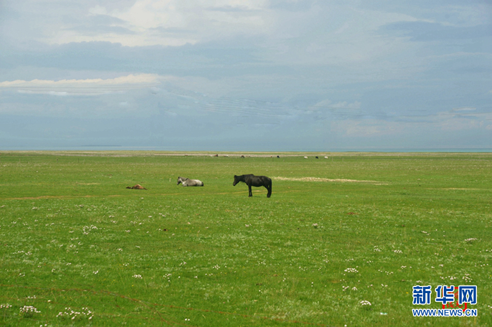 高原放歌之那山、那寺、那朵云