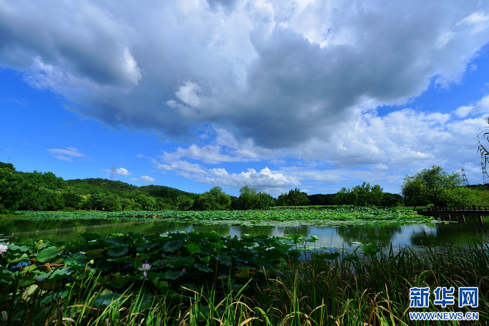 秋高氣爽，行攝八掛田