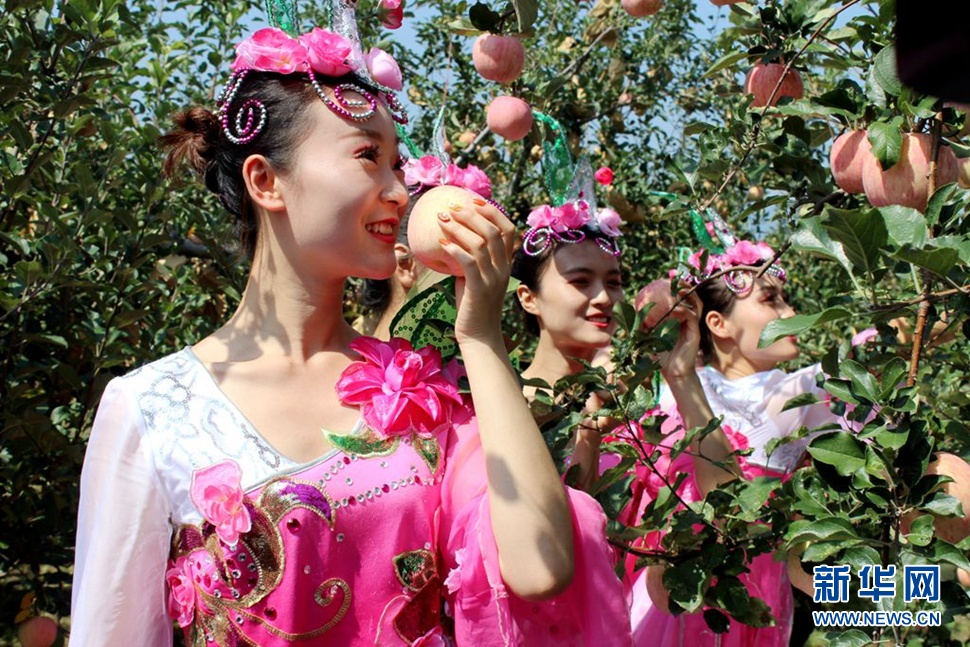 靈寶蘋果花仙子