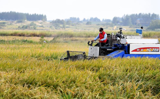 40年，小崗人的18個(gè)&ldquo;第一次&rdquo;