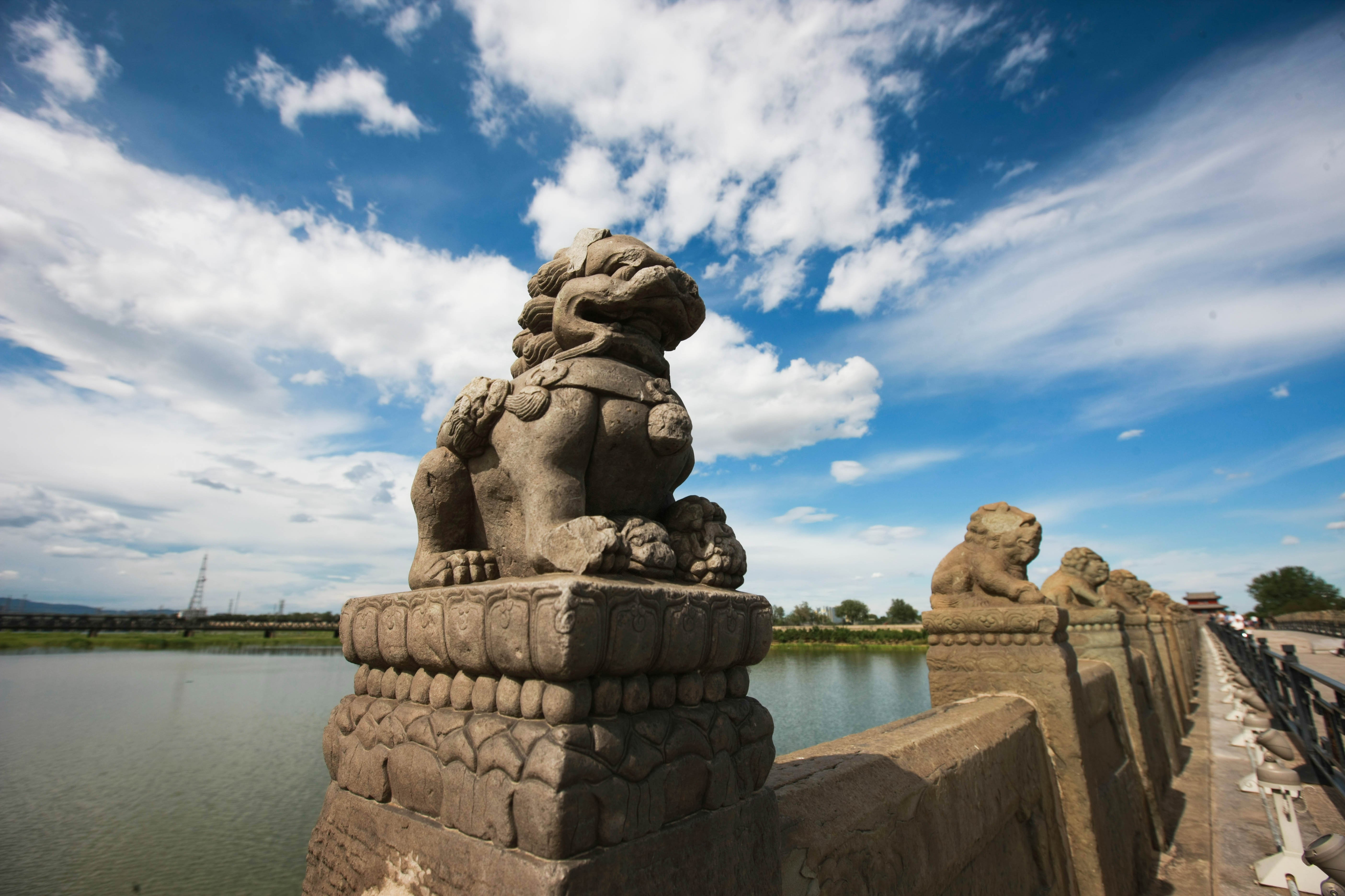 這些照片，來之不易