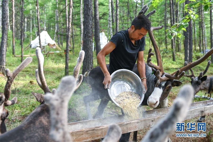【聚焦脫貧攻堅(jiān)】這組數(shù)字，來之不易