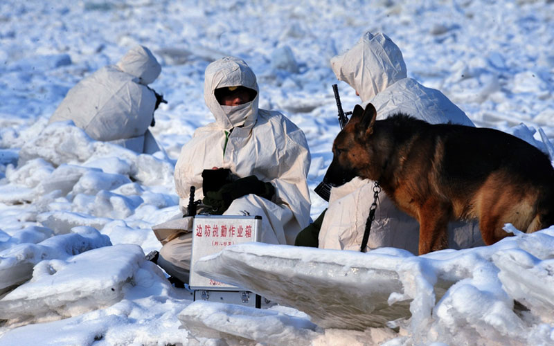 馮凱旋作品：無(wú)言的&ldquo;戰(zhàn)友&rdquo;