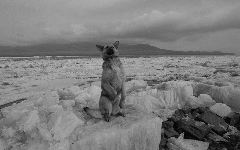 線云強作品:東方第一哨，最早迎接太陽的士兵