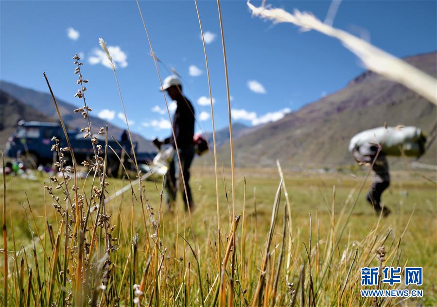 （社會(huì)）（2）西藏：牧草豐收儲(chǔ)&ldquo;冬糧&rdquo;