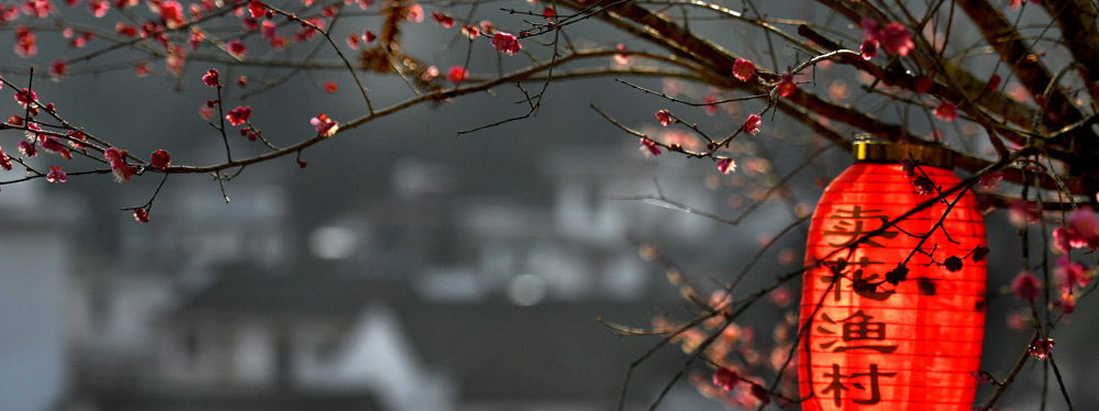 春來花開，綻放正當時