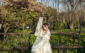 徜徉櫻花花海，來場動漫之旅