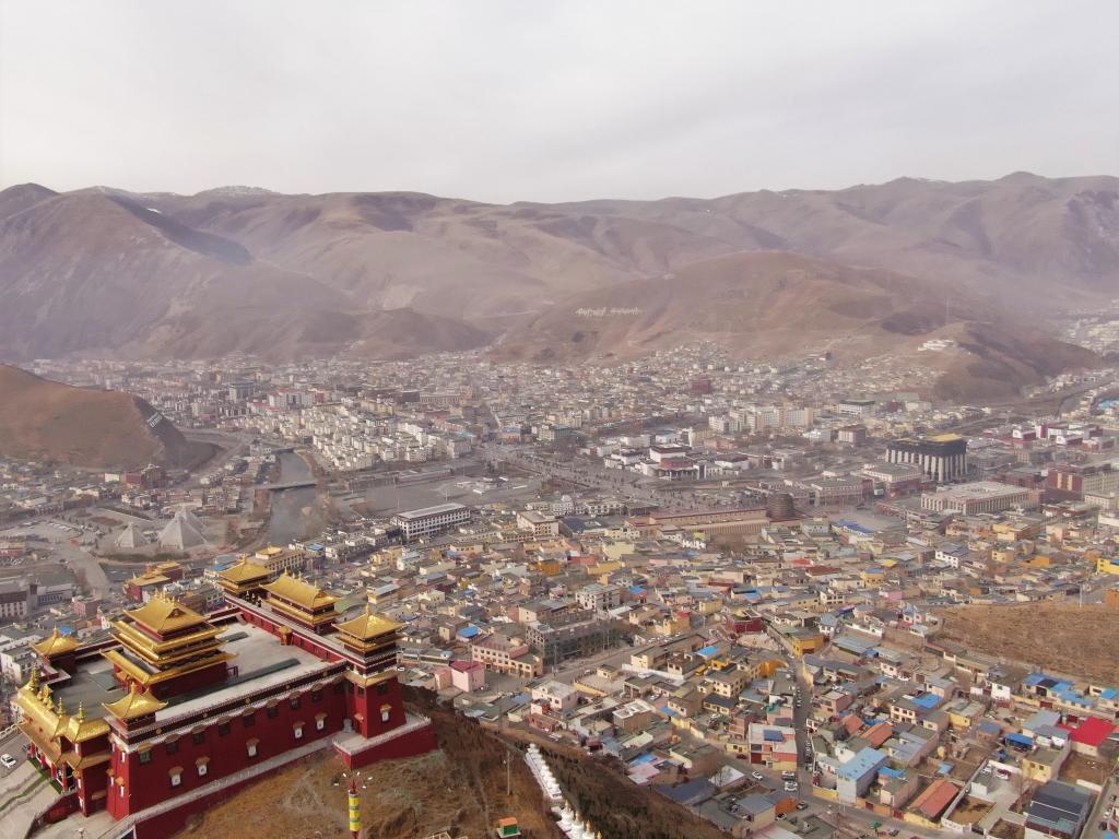 震后11年，玉樹正芳華