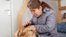 &ldquo;有你在身旁，真好&rdquo;