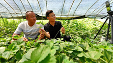 我們村里的年輕人：&ldquo;直播達(dá)人&rdquo;