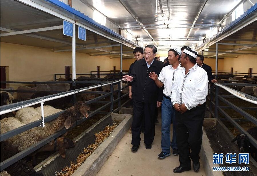 9月27日，中共中央政治局常委、全國政協(xié)主席、中央代表團團長俞正聲率中央代表團部分成員赴喀什地區(qū)莎車縣看望各族干部群眾。這是俞正聲在新疆生產(chǎn)建設(shè)兵團第三師莎車農(nóng)場實地察看萬只羊養(yǎng)殖基地。新華社記者 饒愛民 攝