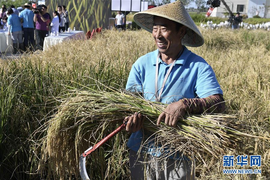 （新華全媒頭條&middot;圖文互動(dòng)）（2）歷史性飛躍的偉大實(shí)踐&mdash;&mdash;中國(guó)共產(chǎn)黨引領(lǐng)中國(guó)特色社會(huì)主義開辟發(fā)展新境界述評(píng)