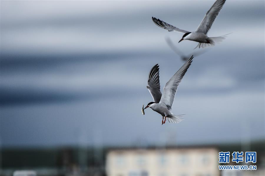 （圖文互動）（10）奏響新時代偉大復(fù)興的壯麗樂章&mdash;&mdash;寫在&ldquo;中國夢&rdquo;提出五周年之際