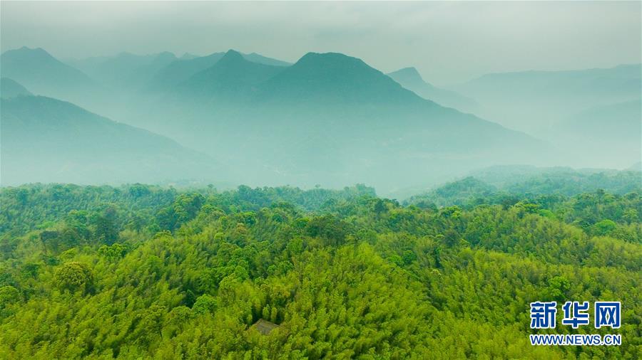 （新華全媒頭條&middot;圖文互動）（9）赤水：別了，貧困！