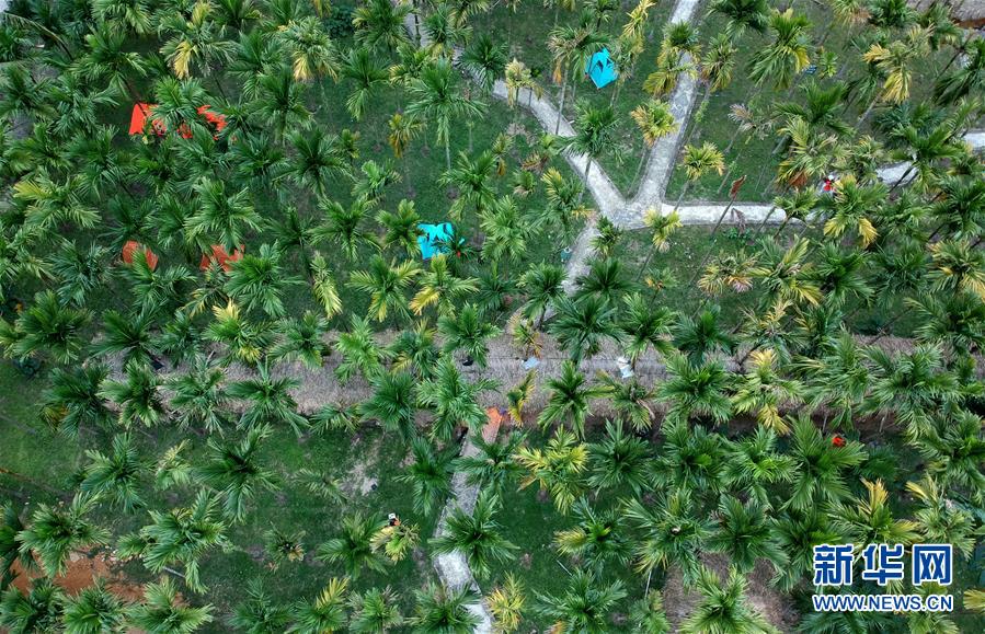 （社會）（3）海南貧困黎鄉(xiāng)&mdash;&mdash;小妹村：旅游扶貧將綠水青山打造成金山銀山(4)