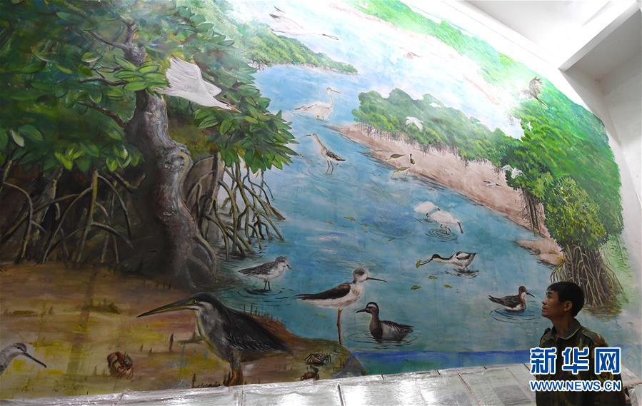 （圖文互動(dòng)）（5）十年樹木、紅樹成林&mdash;&mdash;&ldquo;海上森林&rdquo;回歸記