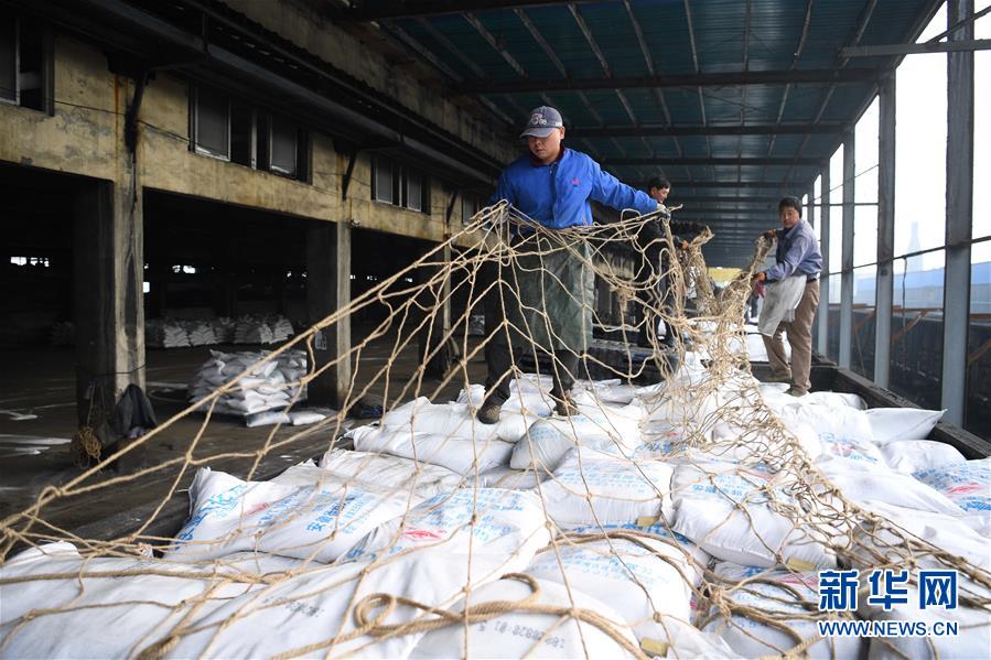 （新春走基層）（4）安徽：農(nóng)資&ldquo;春運&rdquo;助春耕