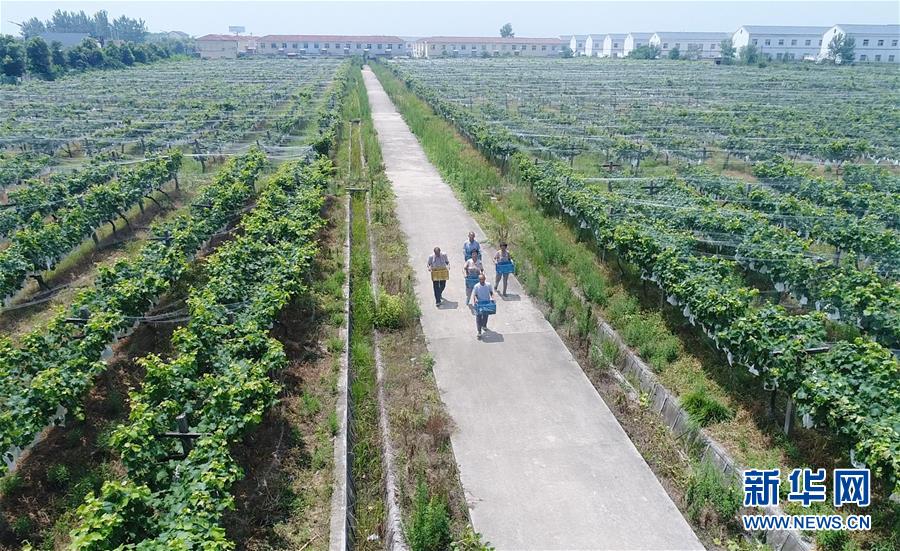 （新華全媒頭條&middot;紀(jì)念改革開(kāi)放40年特稿&middot;圖文互動(dòng)）（5）向著新航程揚(yáng)帆奮進(jìn)！&mdash;&mdash;從小崗精神看中國(guó)改革開(kāi)放40年