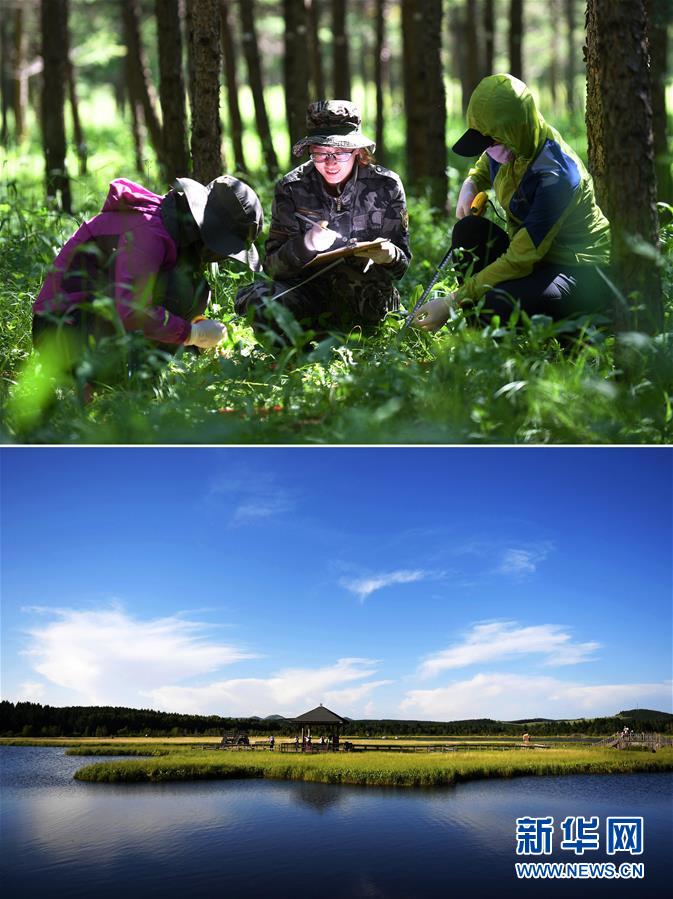 （新華全媒頭條&middot;圖文互動）（4）領(lǐng)航新時代中國經(jīng)濟(jì)航船&mdash;&mdash;從中央財(cái)經(jīng)領(lǐng)導(dǎo)小組會議看以習(xí)近平同志為核心的黨中央駕馭中國經(jīng)濟(jì)