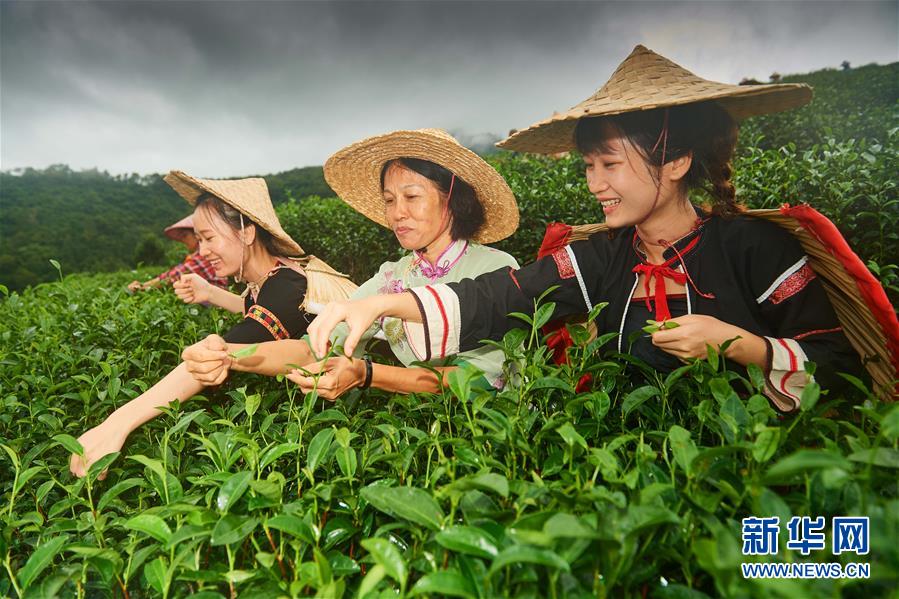 (新華全媒頭條·潮起海之南·圖文互動)(7)春潮拍岸千帆進(jìn)——海南特區(qū)改革開放30年紀(jì)實