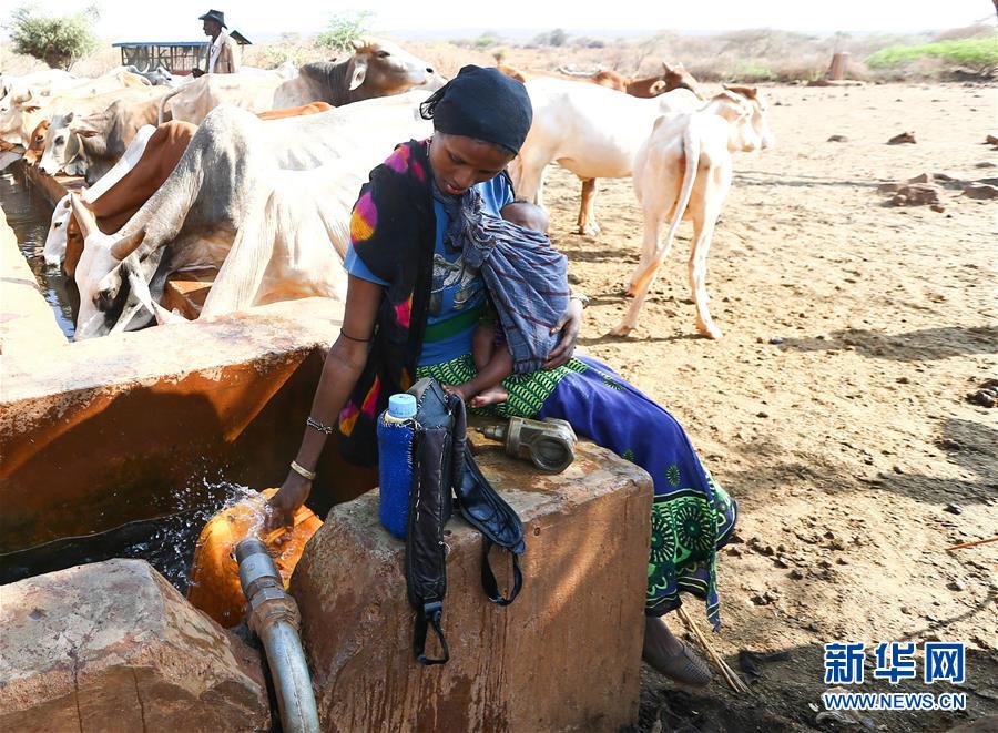 （國(guó)際&middot;編輯連線）（15）母親的懷抱