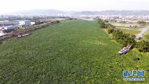 （圖文互動）（1）&ldquo;白練&rdquo;變&ldquo;黑龍&rdquo;，江河變&ldquo;草原&rdquo;－－粵東母親河為何污染20多年難治理？