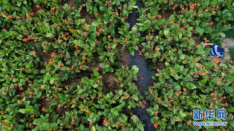 （在習(xí)近平新時代中國特色社會主義思想指引下&mdash;&mdash;新時代新作為新篇章&middot;圖文互動）（5）稀奇！治污濕地成了休閑公園&mdash;&mdash;江蘇蘇州全域推進(jìn)農(nóng)村生活污水治理