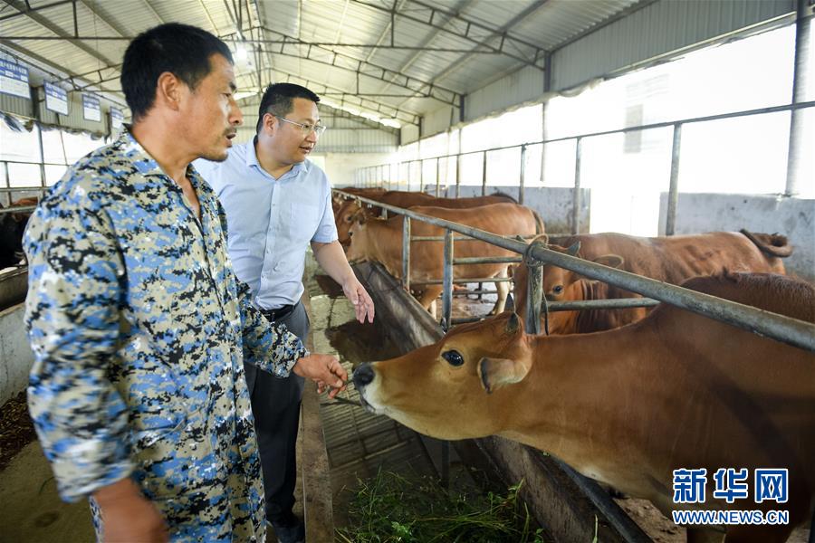 （脫貧攻堅(jiān)&middot;圖文互動(dòng)）（2）&ldquo;不畏難、不畏煩、不畏苦&rdquo;&mdash;&mdash;記&ldquo;80后&rdquo;扶貧干部李朝陽(yáng)