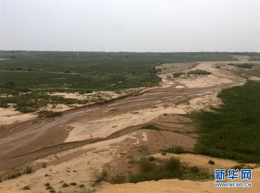 （新華全媒頭條&middot;在習(xí)近平新時代中國特色社會主義思想指引下&mdash;&mdash;新時代新作為新篇章&middot;圖文互動）（5）綠富同興畫卷在沙海中鋪展&mdash;&mdash;庫布其沙漠生態(tài)治理紀(jì)實