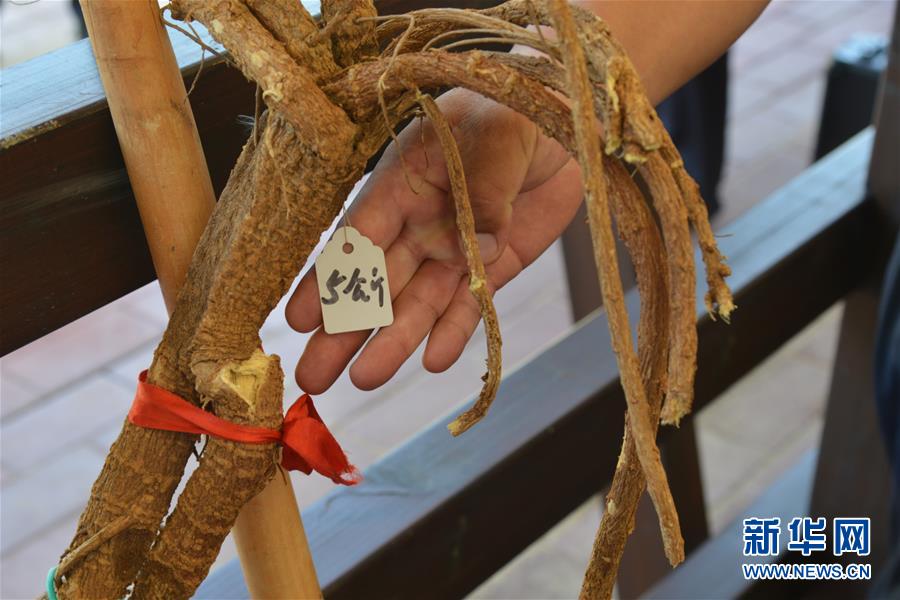 （在習(xí)近平新時(shí)代中國(guó)特色社會(huì)主義思想指引下&mdash;&mdash;新時(shí)代新作為新篇章&middot;圖文互動(dòng)）（2）庫(kù)布其競(jìng)相演繹&ldquo;點(diǎn)沙成金&rdquo;傳奇