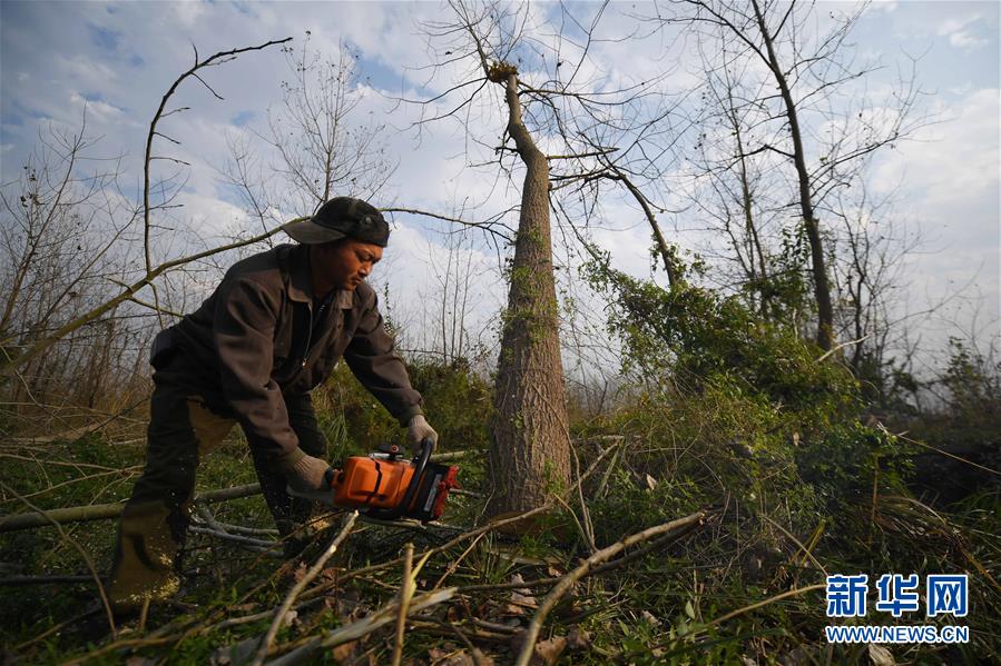 （大江奔流&mdash;&mdash;來自長江經(jīng)濟(jì)帶的報(bào)道&middot;新華全媒頭條&middot;圖文互動(dòng)）（6）打造經(jīng)濟(jì)高質(zhì)量發(fā)展的強(qiáng)勁引擎&mdash;&mdash;深入推動(dòng)長江經(jīng)濟(jì)帶發(fā)展述評