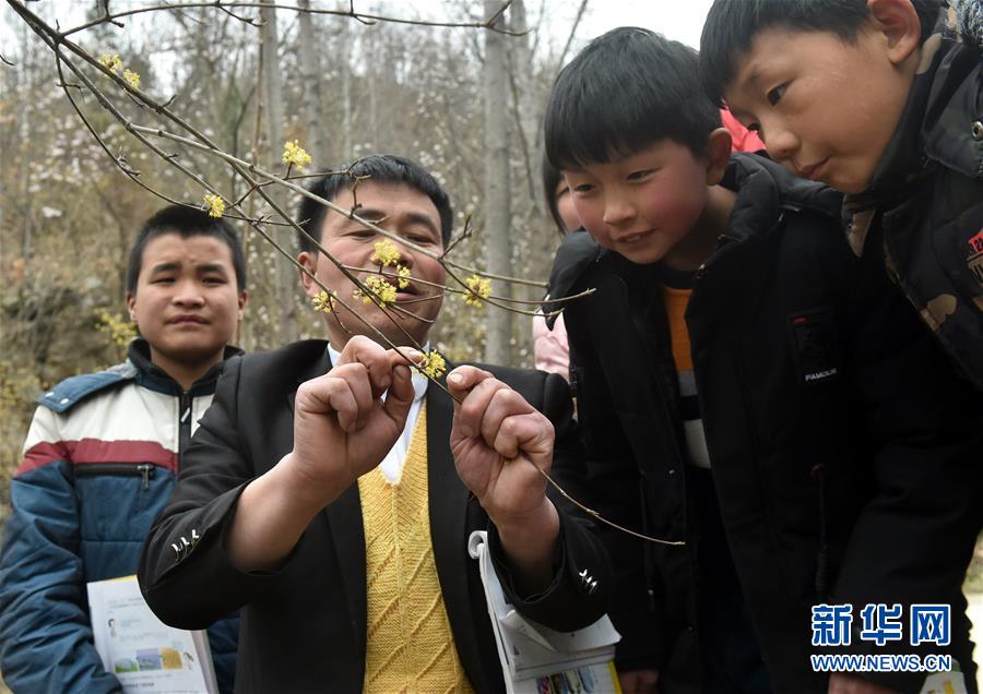 （時(shí)代先鋒&middot;圖文互動(dòng)）（8）伏牛山里好老師張玉滾：挑起孩子們走出大山的希望