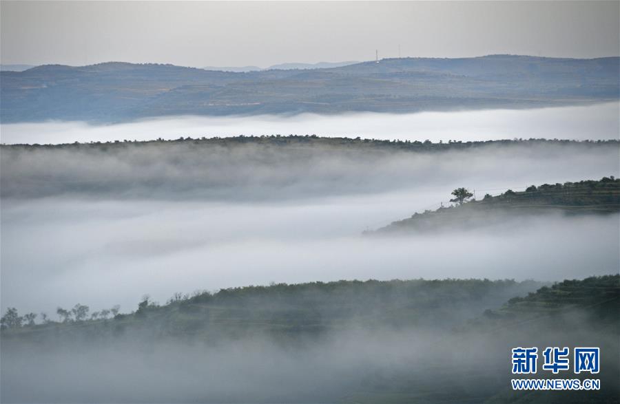 (新華全媒頭條·圖文互動)(12)中國扶貧的西海固答卷——寧夏奮進(jìn)60年巡禮之脫貧攻堅(jiān)篇