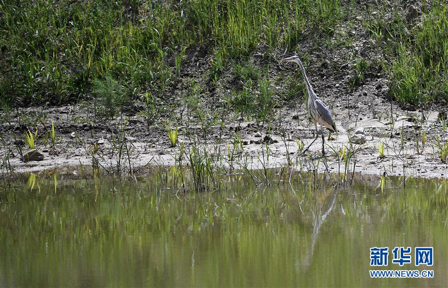 (新華全媒頭條·圖文互動)(10)中國扶貧的西海固答卷——寧夏奮進(jìn)60年巡禮之脫貧攻堅(jiān)篇